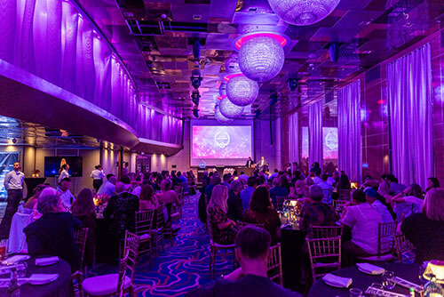 WhichBingo Awards 202 4